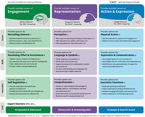 Image of the UDL Guidelines. Link to web version.